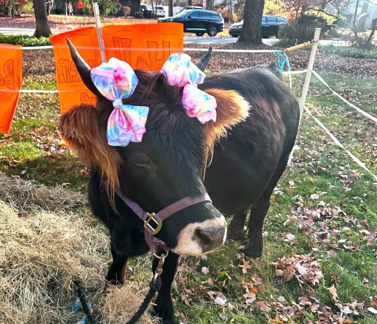 wendy-the-pig-pop-up-visit-nj.webp