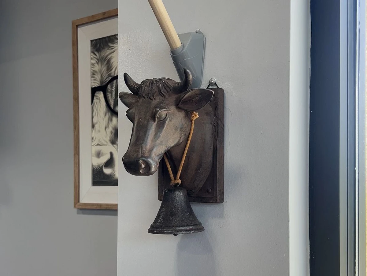 classy-cow-clarksboro-grand-opening.webp