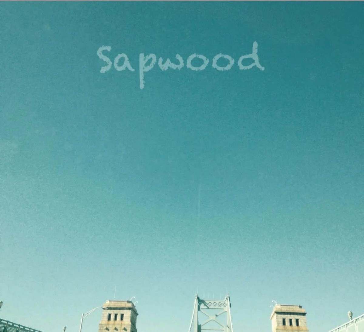 sapwood-nj-punk-emo-folk-band.jpg.webp