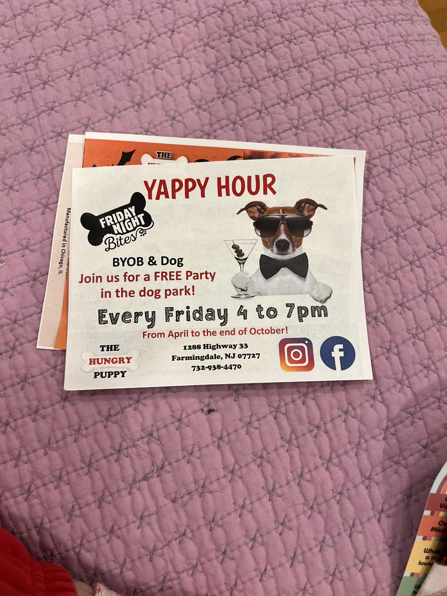 Yappy Hour at The Hungry Puppy