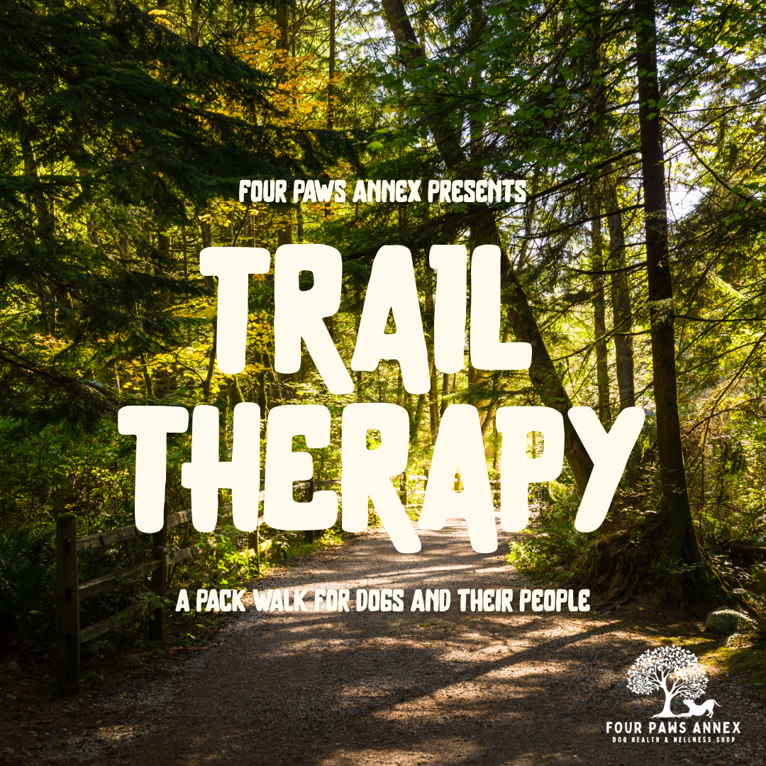 Trail Therapy - A Pack Walk For Dogs and Their People