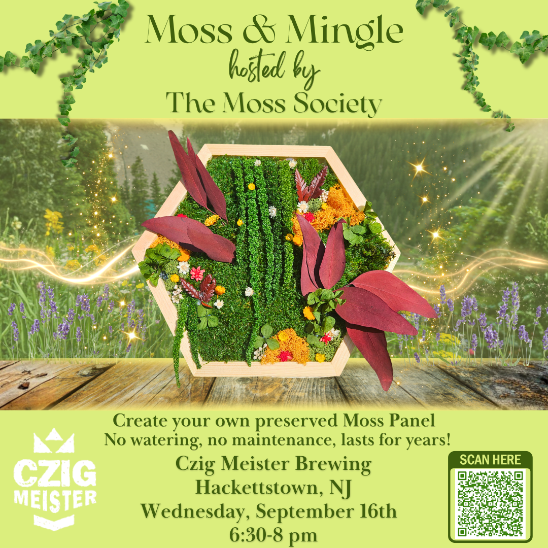 Moss & Mingle in Hackettstown