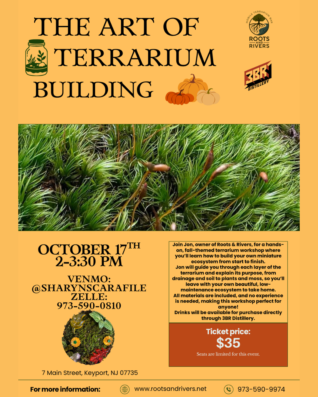 The Art of Terrarium Building
